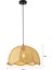 Alvise Tekli Hazeran Model Rattan Modern Tasarım Oturma Odası Avize 4