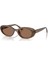 Güneş Gözlüğü Rayban RB4441D 67797353 2