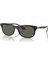 Güneş Gözlüğü Rayban RB4607M F6027155 2