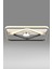 ESSLİGHT SANYA 45 CM PLAFONYER LED AVİZE 3 RENK IŞIK MODLU (BEYAZ SARI GÜN IŞIĞI) SALON OTURMA ODASI YATAK ODASI OFİS 2
