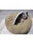 Pet Simit Mağara Yatak - Kedi, Küçük Irk Köpek Yatağı 45X45X16 cm Peluş Kumaş 1