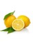 Limon Bonesi / 250 Adet / Bitki Çayı Bonesi 2