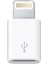 Apple iPhone / iPad Micro USB Dönüştürücü Adaptör Otg Aparat (4767) - Lisinya 1