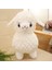 43CM Kuzu Bebek Doğum Günü Hediyesi Oyuncak Bebek Peluş Oyuncaklar (Yurt Dışından) 2