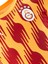 Galatasaray Puma A Takım Antrenman T-Shirt 77969304 3