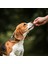 100% Doğal Kurutulmuş Dana Ciğer Ödül Maması - Köpekler ve Köpek Eğitimi Için Ideal 3