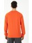 Erkek Sweatshirt 1763515 3