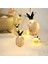 Ananas LED Pilli 4