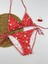 Karpuz Desenli Üçgen Bikini Takımı 1