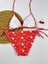 Karpuz Desenli Üçgen Bikini Takımı 3