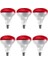 (6 Adet) 250W Kızılötesi (Infrared) Isıtıcılı Fizik Tedavi Lambası (Kırmızı Işık) E27 (Kalın Duy) 1