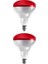 (2 Adet) 250W Kızılötesi (Infrared) Isıtıcılı Hayvan Isıtma ve Kuluçka Lambası (Kırmızı Işık) E27 (Kalın Duy) 1