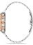 TM345T-04SR Momentus Men\'s Time Masters Kol Saati 2