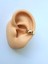 Düz Model Sıkıştırmalı Kıkırdak Gold Renk Earcuff Piercing 5