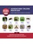 1 Flies’ Inn – Lite 10 x 25 Gr Yem 5