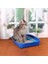 Proline Bebek Pudralı Topaklanan Bentonit Kedi Kumu Ince 10 Lt 3