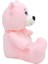 Nessiworld 1022P Göbekli Ayı 28 cm Pembe -Selay Oyuncak 3