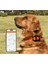 4g Yeni Köpek Kedi Pet Evcil Hayvan Gps Takip Sistemi İzleme Bulma Cihazı Av Köpeği Takip 5