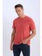 %100 Pamuk New Regular Fit Bisiklet Yaka Basic Düz Kısa Kollu Tişört V7699AZ25SP 3