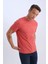 %100 Pamuk New Regular Fit Bisiklet Yaka Basic Düz Kısa Kollu Tişört V7699AZ25SP 4