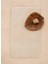 Beads Pamuk Banyo Paspası Ekru 60 x 95 1