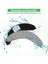 Irobot Roomba Combo J7+ Robot Vakum Için Yedek Paspas Pedleri, Mikrofiber Paspas Pedi Aksesuar Seti (Yurt Dışından) 5