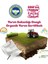 Organik Pirinç Unu 320gr - Organik Bebek Pirinç Unu 320gr - Pirinç Unu 320gr 4