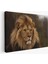 Aslan Dekoratif Kanvas Tablo 1159 1