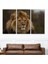 Aslan Dekoratif Kanvas Tablo 1159 3