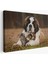 St. Bernard Köpek ve Yavru Kediler Dekoratif Kanvas Tablo 1124 1