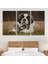 St. Bernard Köpek ve Yavru Kediler Dekoratif Kanvas Tablo 1124 3