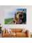 Köpek Dekoratif Kanvas Tablo 1130 2