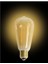 Ct 4284 Rustik LED Ampul Amber 2