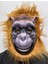Kahverengi Saçlı Orangutan Maskesi Maymun Maskesi Mega Peluş 4 No 1