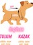 Kedi Köpek için Işıltılı Kırmızı Beyaz Kazak Tulum Yün Takım 5