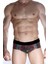 Erkek Alımlı Mini Boxer 2