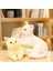 30CM Kedi Bebek Uzanmış Yavru Kedi Bebek (Yurt Dışından) 5