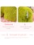 35CM Küçük Canavar Mercan Polar Peluş Oyuncak (Yurt Dışından) 4
