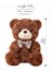 25 cm Papyon Ayı Peluş Oyuncak (Yurt Dışından) 5