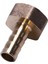 Altın Pirinç Bağlantı Elemanı 10MM Hortum Dikeni 1/2 "npt Dişi Konu Düz Konnektör (Yurt Dışından) 3