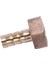 Altın Pirinç Bağlantı Elemanı 10MM Hortum Dikeni 1/2 "npt Dişi Konu Düz Konnektör (Yurt Dışından) 4