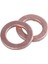 100 Adet Bakır Ezme Yıkayıcı Düz Conta Halkası Bağlantısı 6mm x 10MM x 1mm (Yurt Dışından) 4