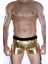 Beruflic Erkek Boxer 1