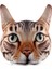 Kahverengi Kedi Desen Dekoratif Yastık 1