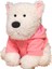 24 cm Hoodie Yayla Simülasyon Köpek Yavrusu Çocuk Peluş Oyuncak (Yurt Dışından) 1