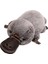 45 cm Ornitorenk Karikatür Peluş Peluş Oyuncak (Yurt Dışından) 1