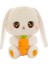 30CM Sevimli Tavşan Peluş Oyuncak Bebek (Yurt Dışından) 1