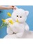 35CM Beyaz Kedi Sevimli Peluş Oyuncak (Yurt Dışından) 3