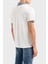 Streç Pamuklu Regular Fit Düğmeli Polo Yaka T Shirt Erkek Polo Yaka T Shirt EM000852 AF12955 F0068 2