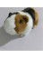 Simülasyon Fare Oyuncak Hamster Modeli Evcil Hayvan Oyuncağı, Doldurulmuş Hamster Sevimli Oyuncak, Kedi Veya Köpek Için Simüle Edilmiş Hamster Oyuncağı (Yurt Dışından) 2